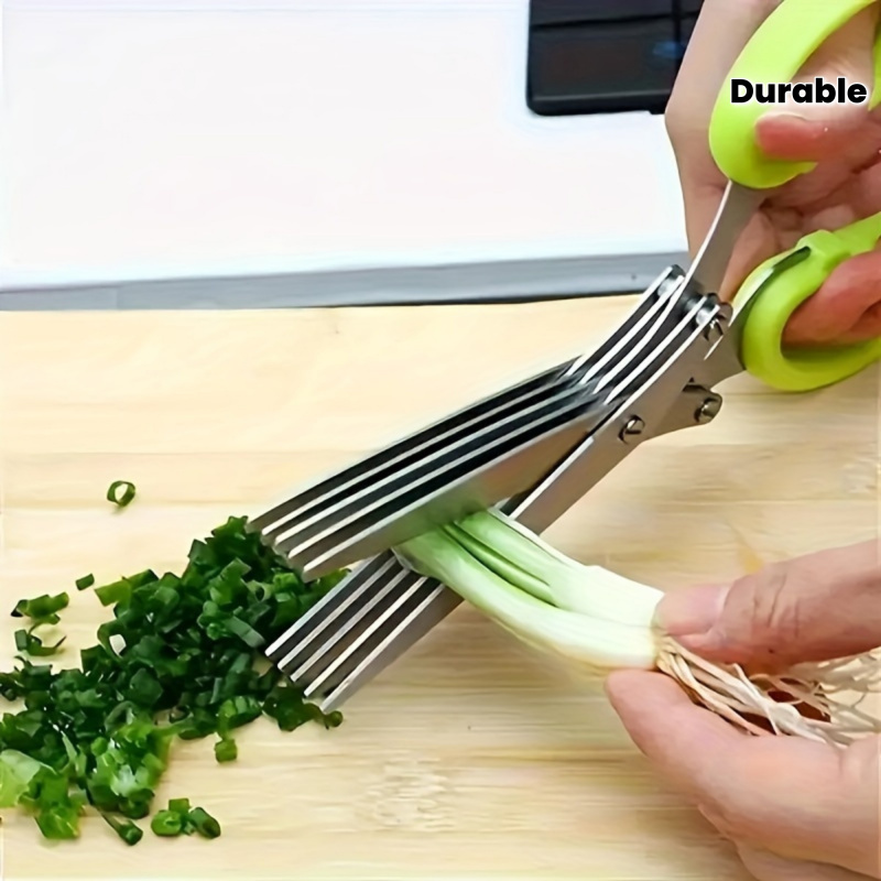 Algae Scraper Blade - 3-Klingen Edelstahl Küchenschere, Mehrschichtige Kräuterschere zum