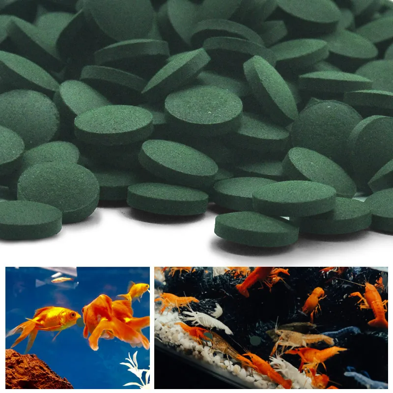 Aquarium Fish Holiday Food - 100 Stück hochreine Spirulina-Tabletten, Spirale, Algen,