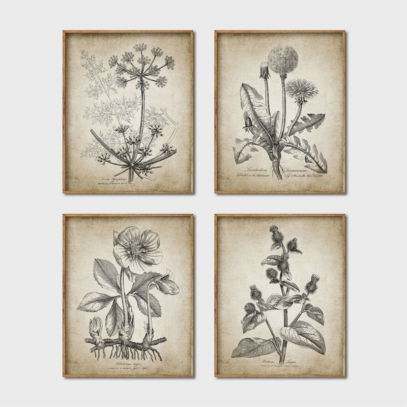 Live Plant Fertilizer - Antike Botanische Poster und Drucke Rustikalen