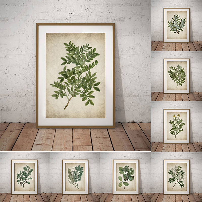 Live Plant Fertilizer - Vintage Green Leaf Botanical Poster Leinwanddruck