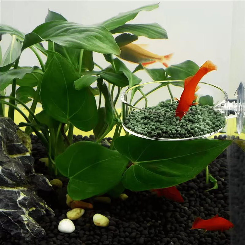 Aquarium Fish Holiday Food - Transparenter Acryl-Fischfutterspender mit Saugnapf - Runde