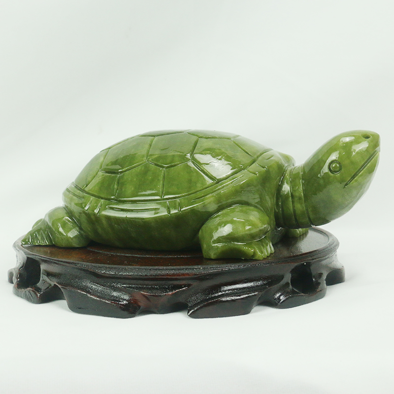 Natürliche Jade/Schildkröte Sk – Aquarium Fish Cartoon Bewertung und Preis