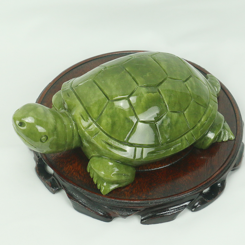Natürliche Jade/Schildkröte Sk – Aquarium Fish Cartoon Bewertung und Preis
