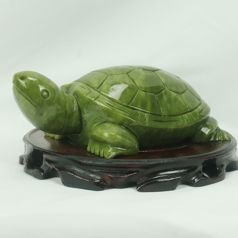 Natürliche Jade/Schildkröte Sk – Aquarium Fish Cartoon Bewertung und Preis