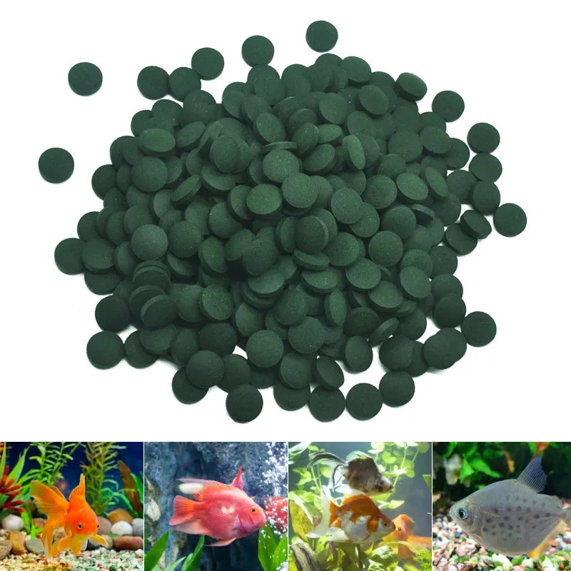 100–3000 Stück hochreine Spiru – Aquarium Fish Holiday Food Bewertung und Preis