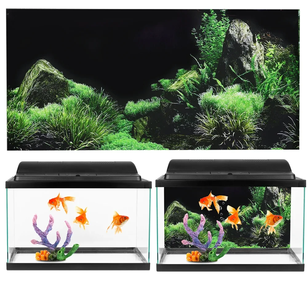 Hintergrund für Aquarium 3d Au – Aquarium Fish Cartoon Bewertung und Preis