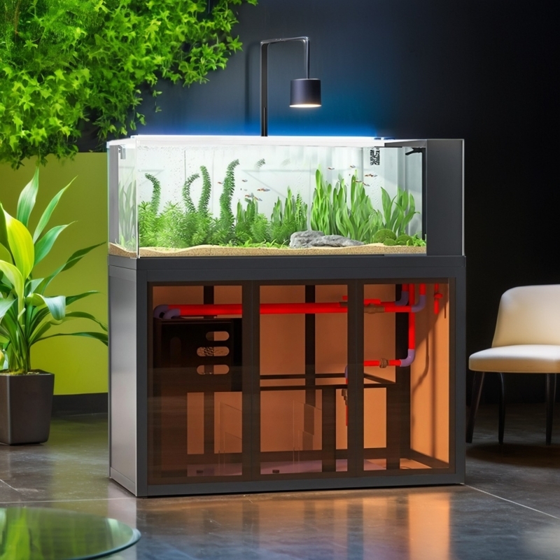 Aquascape-Fischbecken im Indus – Aquarium Fish Low Maintenance Bewertung und Preis