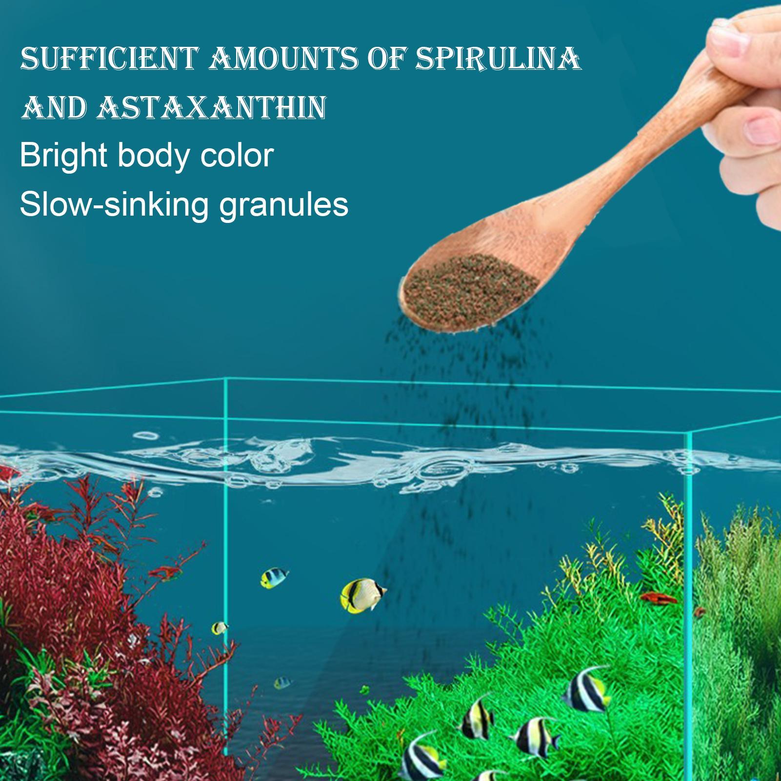 Betta-Futter Zierfischfutter A – Aquarium Fish Restaurant Bewertung und Preis