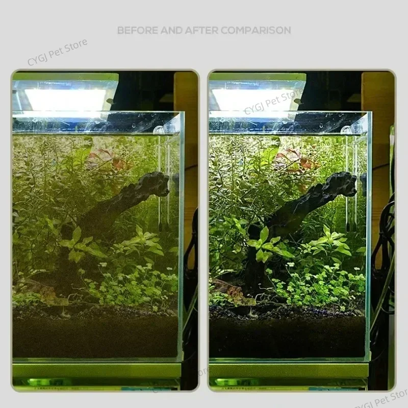 Aquarium Reinigung Werkzeug Fl – Algae Scraper Blade Bewertung und Preis