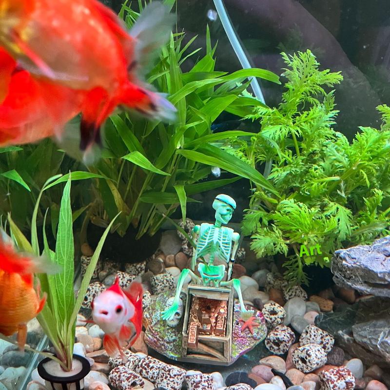 Aquarium Aerobic Landschaft Bl – Aquarium Fish Cartoon Bewertung und Preis