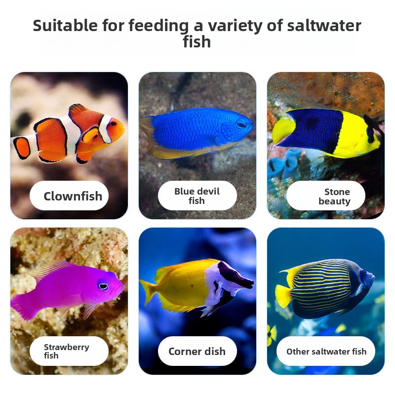 DEERA Clownfisch & Tang-Essen  – Fish Food Flake Bewertung und Preis