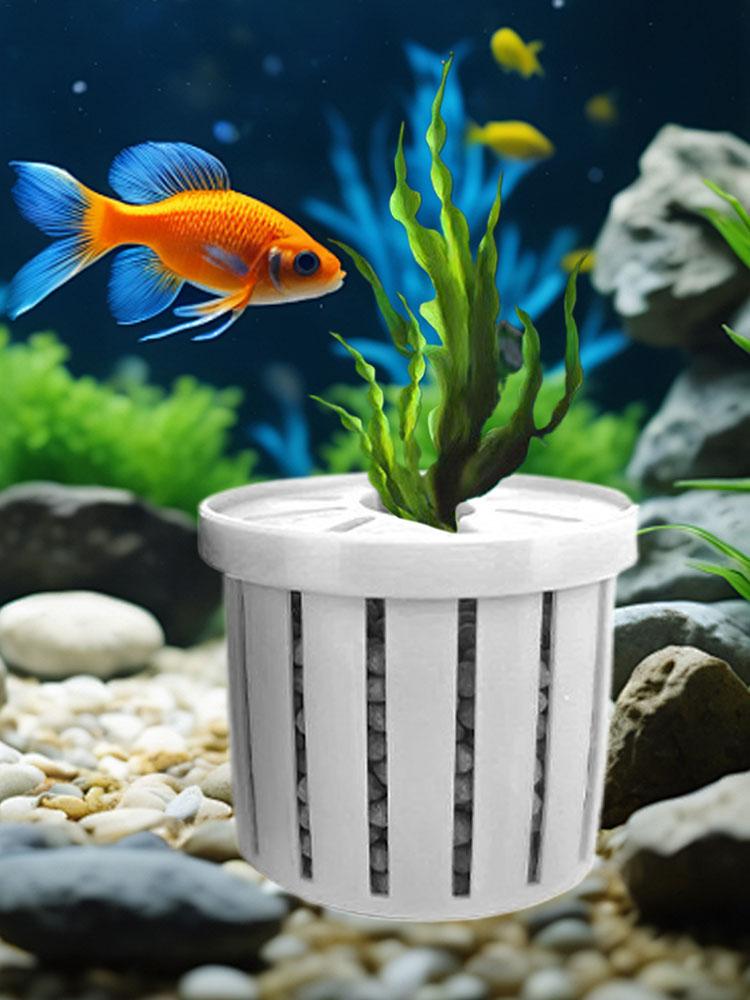 4er-Set Aquarien-Pflanzenhalte – Aquarium Fish Restaurant Bewertung und Preis