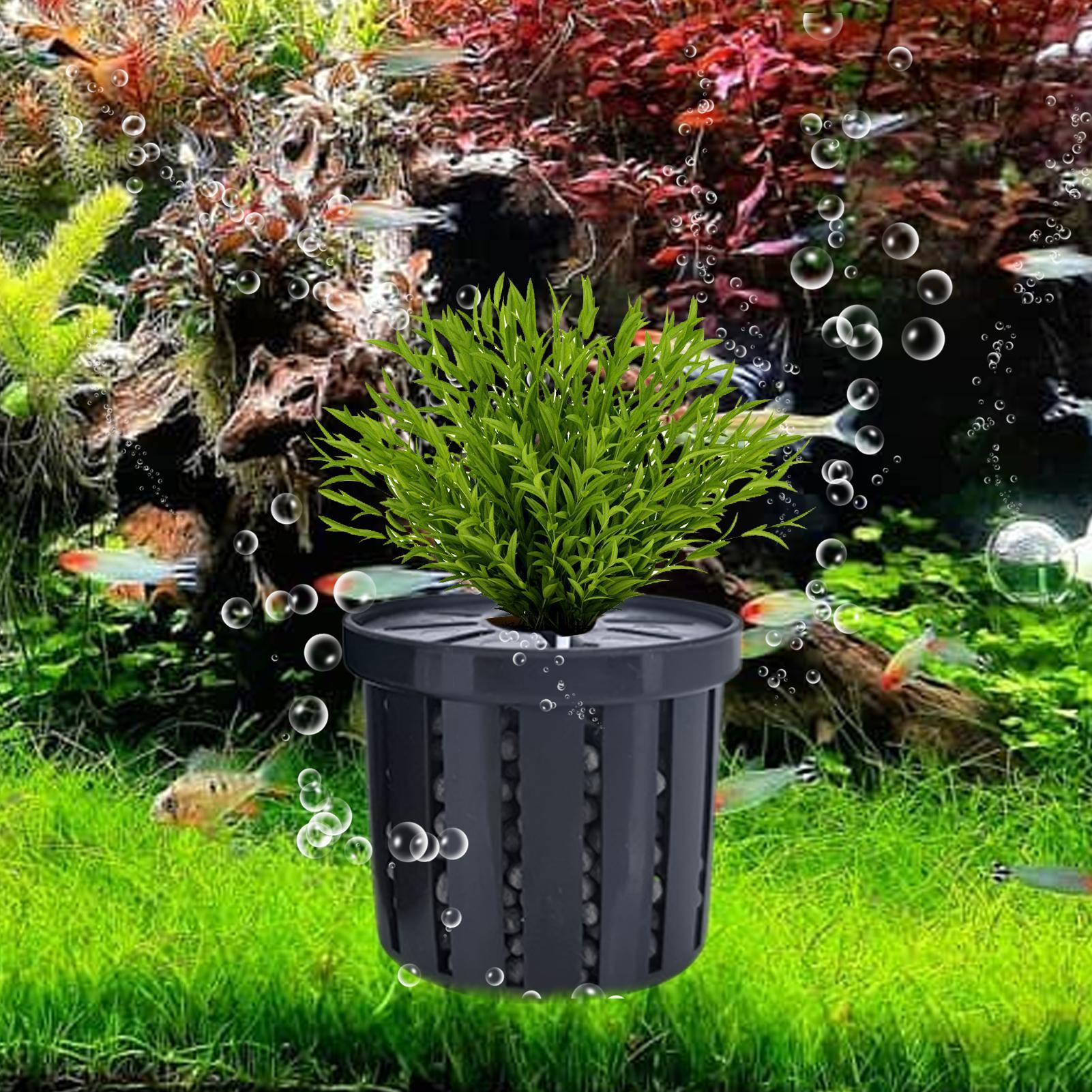 4er-Set Aquarien-Pflanzenhalte – Aquarium Fish Restaurant Bewertung und Preis