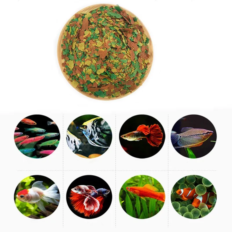 NEU Gesunde Fischfutterflocken – Fish Food Flake Bewertung und Preis