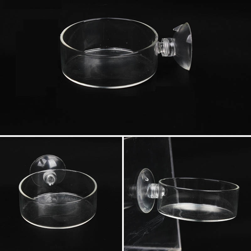 Transparenter Fischfutterspend – Aquarium Fish Holiday Food Bewertung und Preis