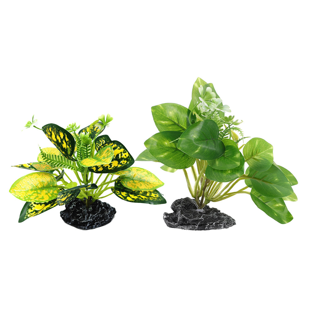 2 Stück Wasserpflanzen-Bonsai, – Aquarium Fish Low Maintenance Bewertung und Preis