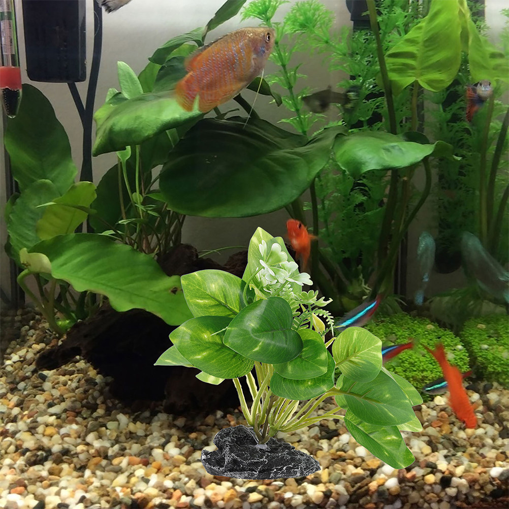 2 Stück Wasserpflanzen-Bonsai, – Aquarium Fish Low Maintenance Bewertung und Preis