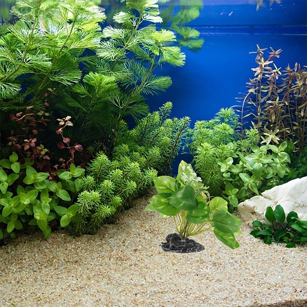 2 Stück Wasserpflanzen-Bonsai, – Aquarium Fish Low Maintenance Bewertung und Preis