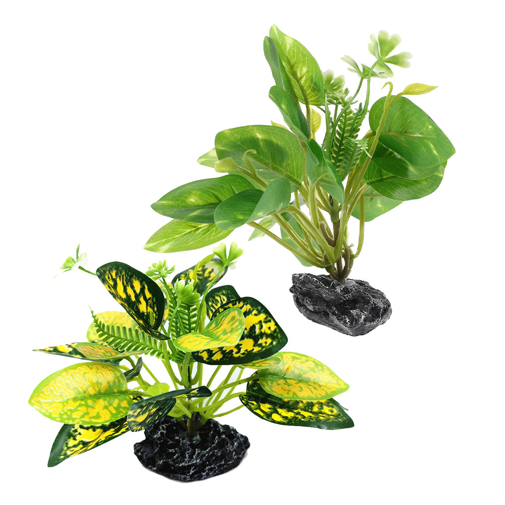 2 Stück Wasserpflanzen-Bonsai, – Aquarium Fish Low Maintenance Bewertung und Preis