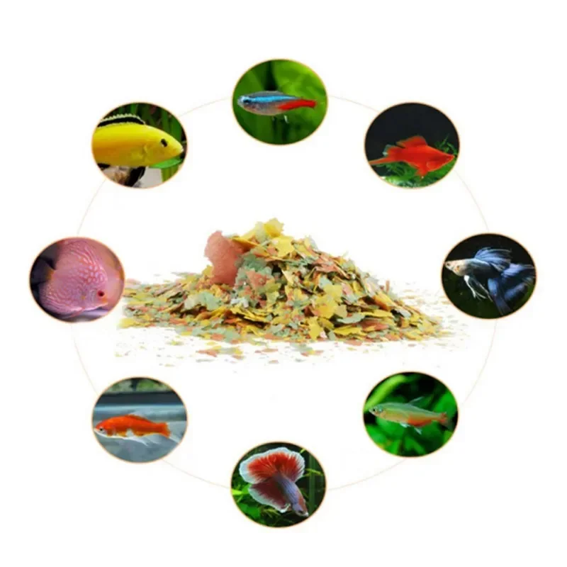 Fischfutter zum Färben und Auf – Fish Food Flake Bewertung und Preis