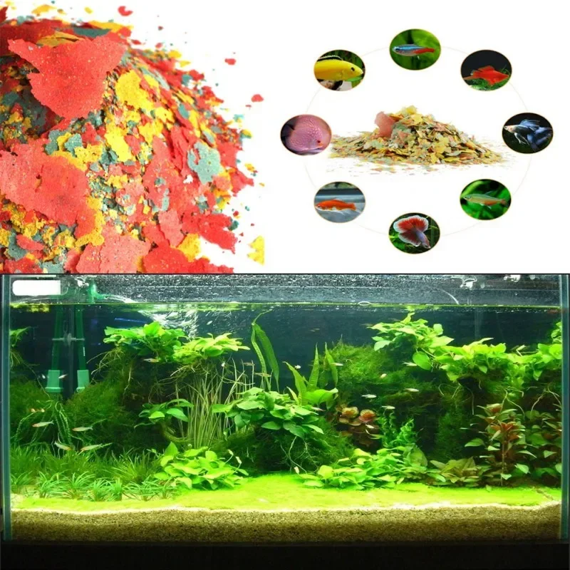 Fischfutter zum Färben und Auf – Fish Food Flake Bewertung und Preis
