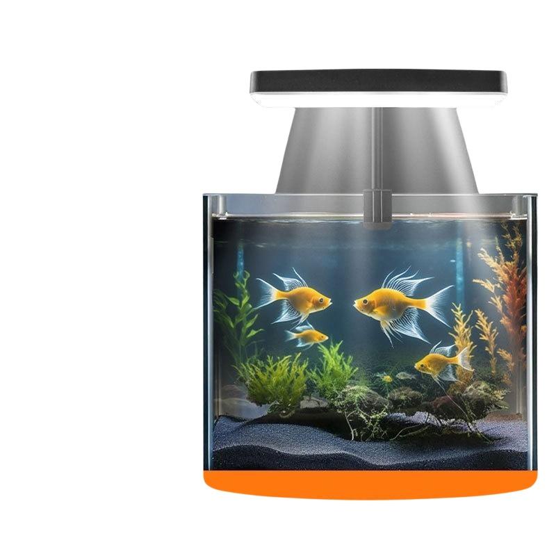 USB-Aquarium-Clipleuchte mit F – Fish Aquarium Home Bewertung und Preis