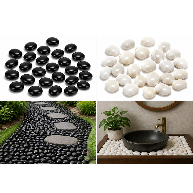 Weiß-schwarze polierte Flussst – Fish Aquarium Home Bewertung und Preis