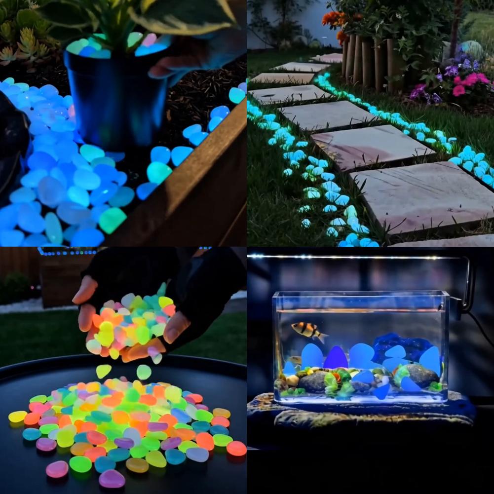 200/1000 Stück Leuchtende Stei – Fish Aquarium Home Bewertung und Preis