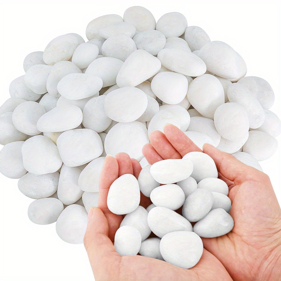 200/400g weiße hochglanzpolier – Fish Aquarium Home Bewertung und Preis