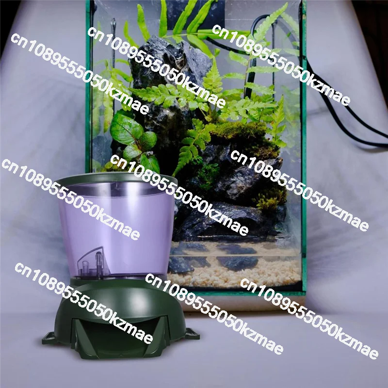 Geeignet für Zeitgesteuerten A – Aquarium Fish Green Bewertung und Preis