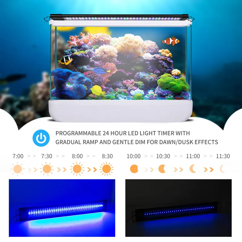 LED Programmierbare Aquariumbe – Aquarium Fish Light Bewertung und Preis