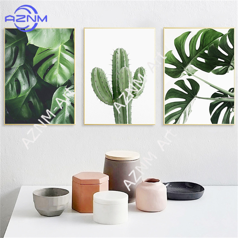 Grünes Pflanzenbild Monstera P – Live Plant Fertilizer Bewertung und Preis