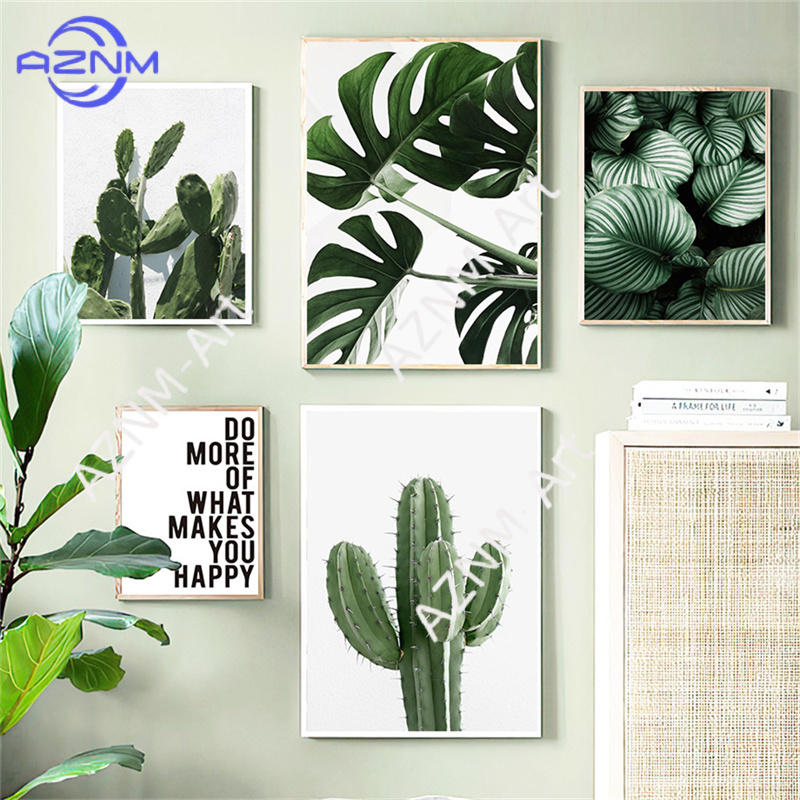 Grünes Pflanzenbild Monstera P – Live Plant Fertilizer Bewertung und Preis
