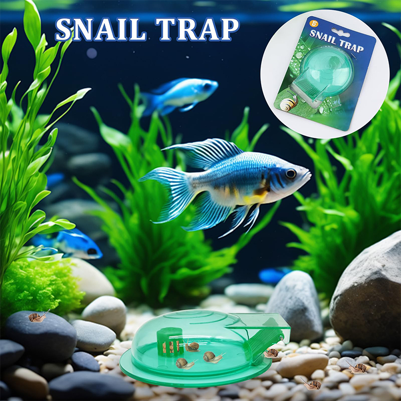 Aquarium-Schneckenfalle, Kunst – Aquarium Fish Green Bewertung und Preis
