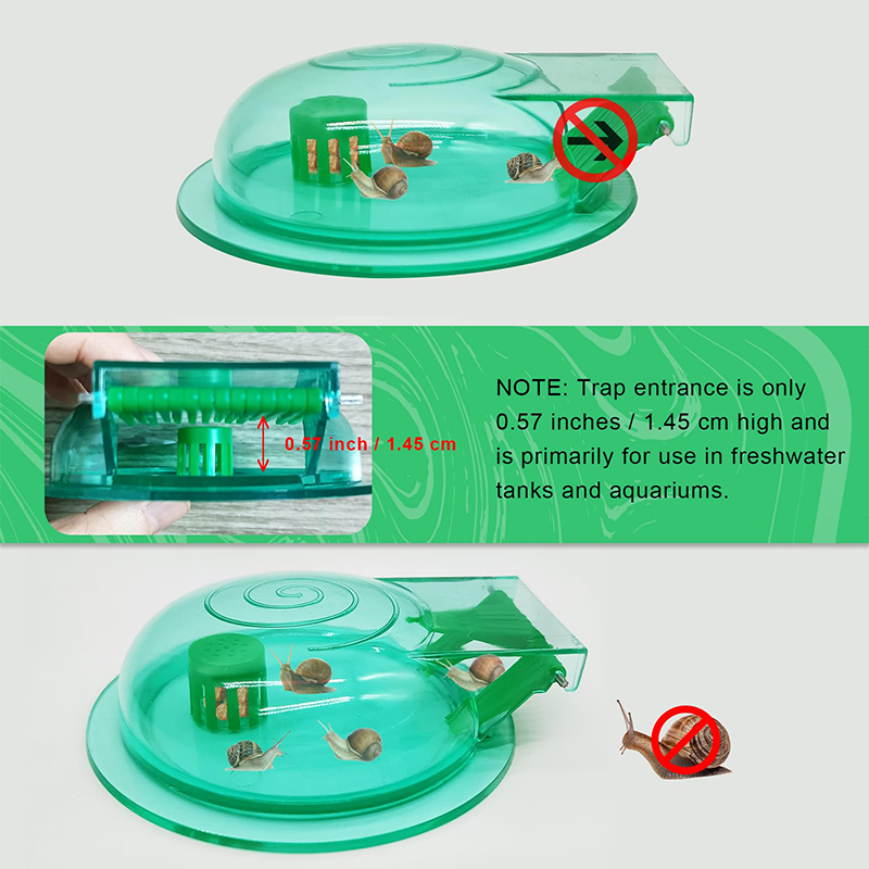 Aquarium-Schneckenfalle, Kunst – Aquarium Fish Green Bewertung und Preis