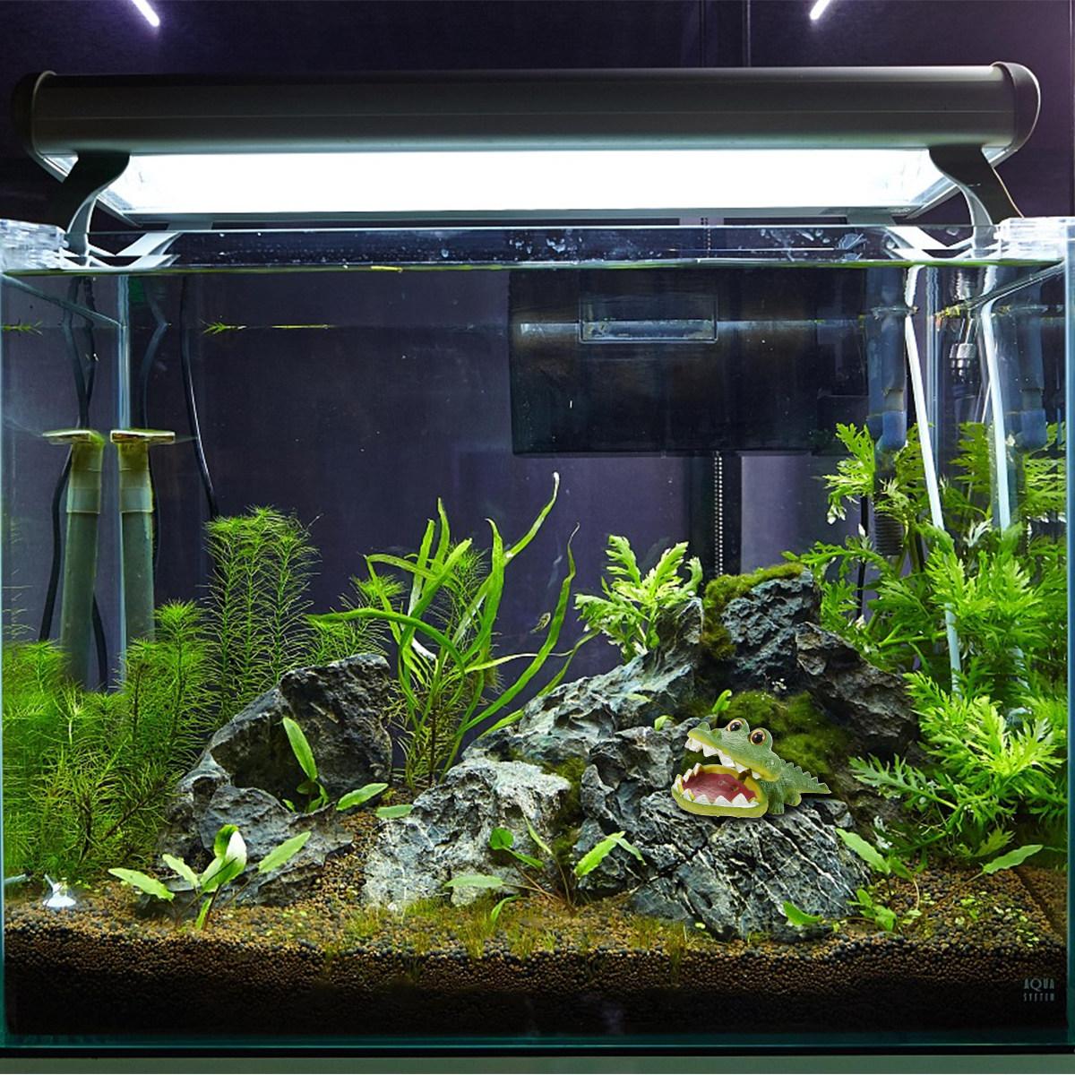 Sprudelnder Alligator Aquarium – Aquarium Fish Alligator Bewertung und Preis