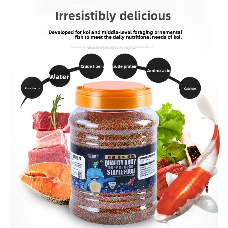 Fischbabyseich und Aquariumfis – Aquarium Fish Koi Bewertung und Preis