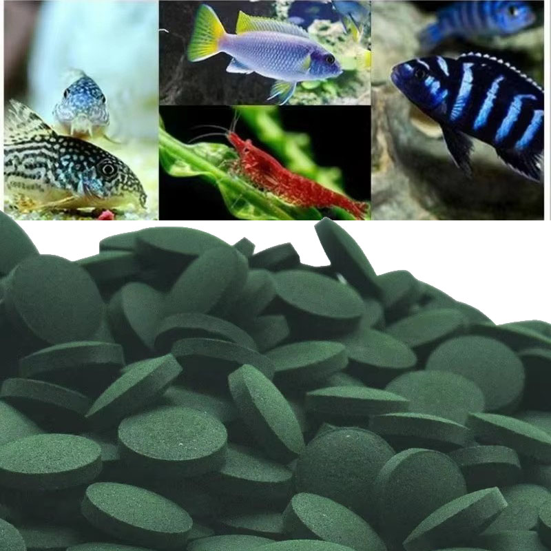 50/100/300/500 stücke Spirulin – Aquarium Fish Holiday Food Bewertung und Preis