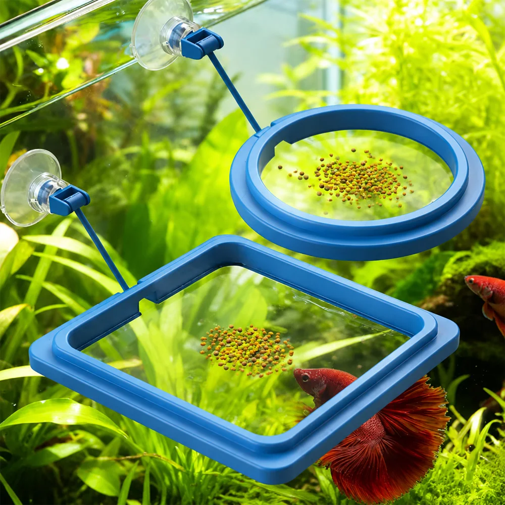 Betta-Fischfutter Schwimmende  – Fish Food Flake Bewertung und Preis