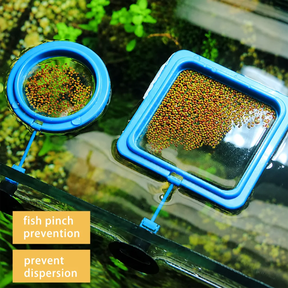Betta-Fischfutter Schwimmende  – Fish Food Flake Bewertung und Preis