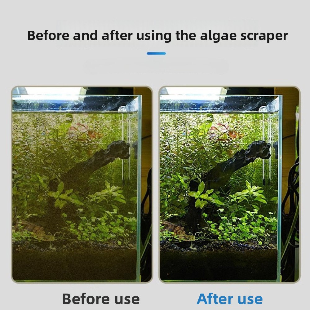 Doppelfunktions-Aquarium-Algen – Algae Scraper Blade Bewertung und Preis