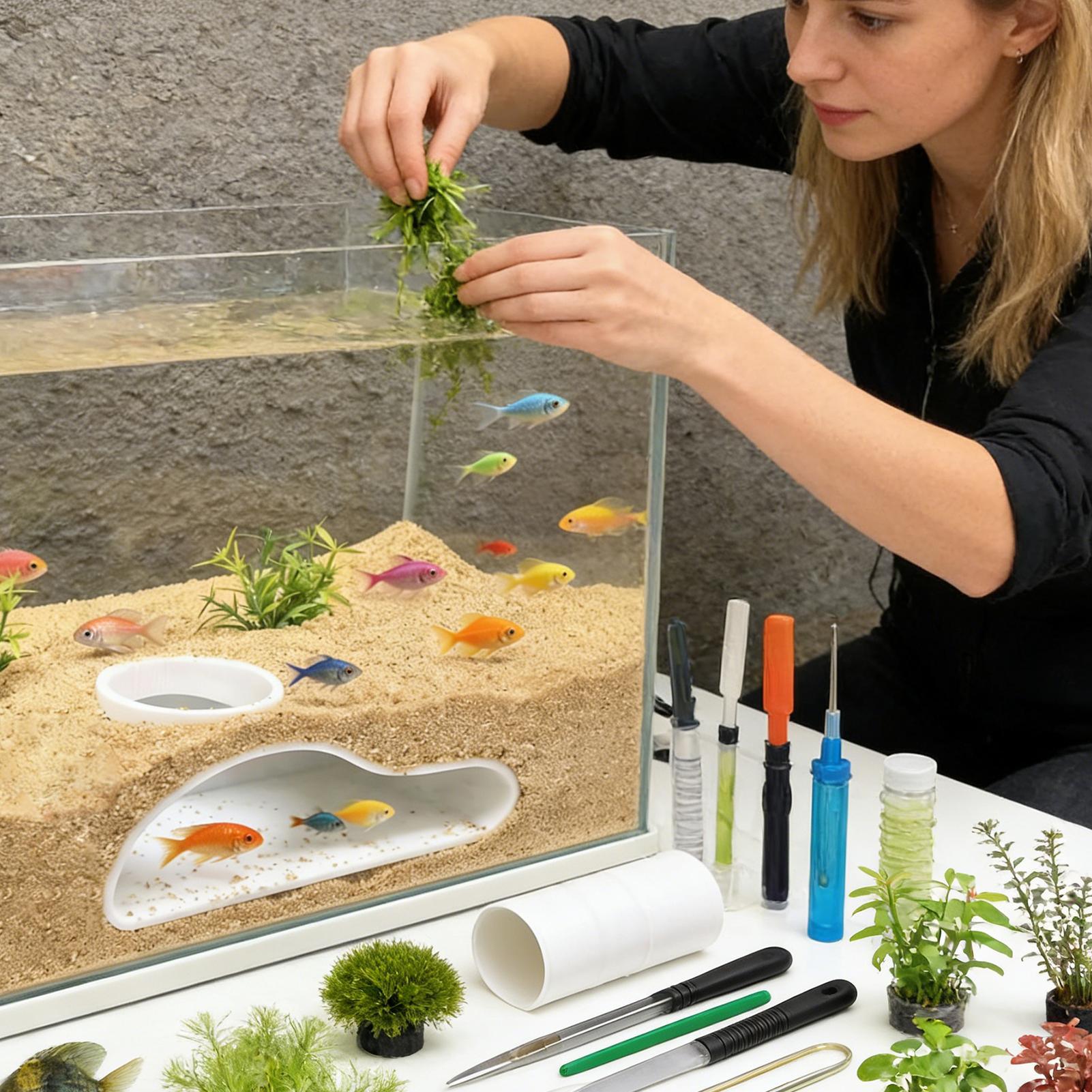 Aquarium-Untergrund-Tunnelhöhl – Aquarium Fish Restaurant Bewertung und Preis