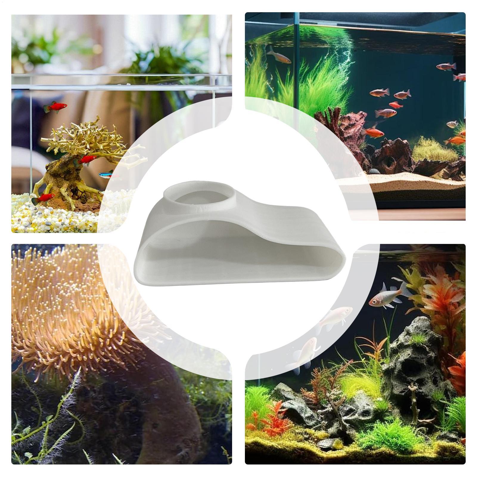 Aquarium-Untergrund-Tunnelhöhl – Aquarium Fish Restaurant Bewertung und Preis