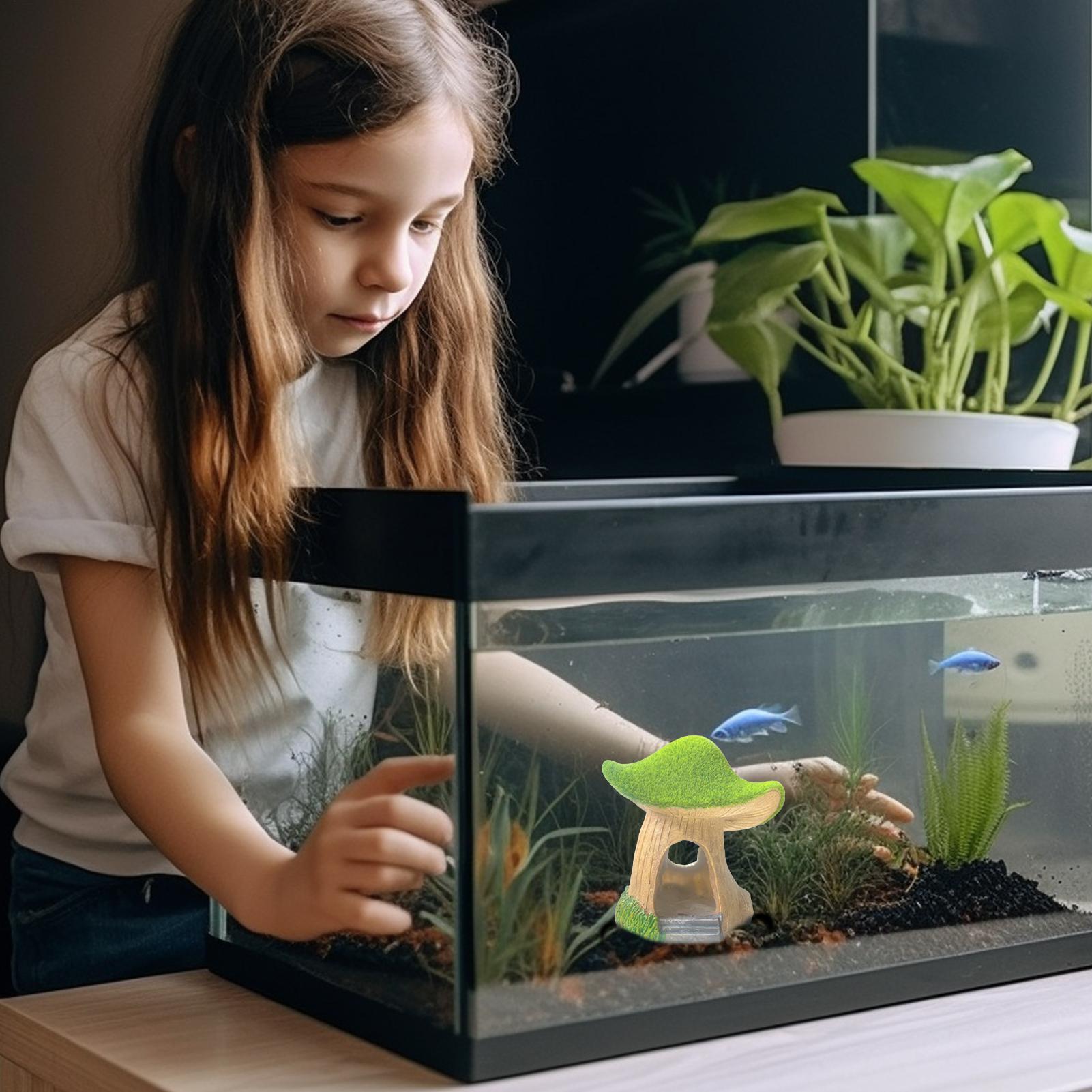 Aquarium Statue Unter Wasser S – Aquarium Fish Restaurant Bewertung und Preis