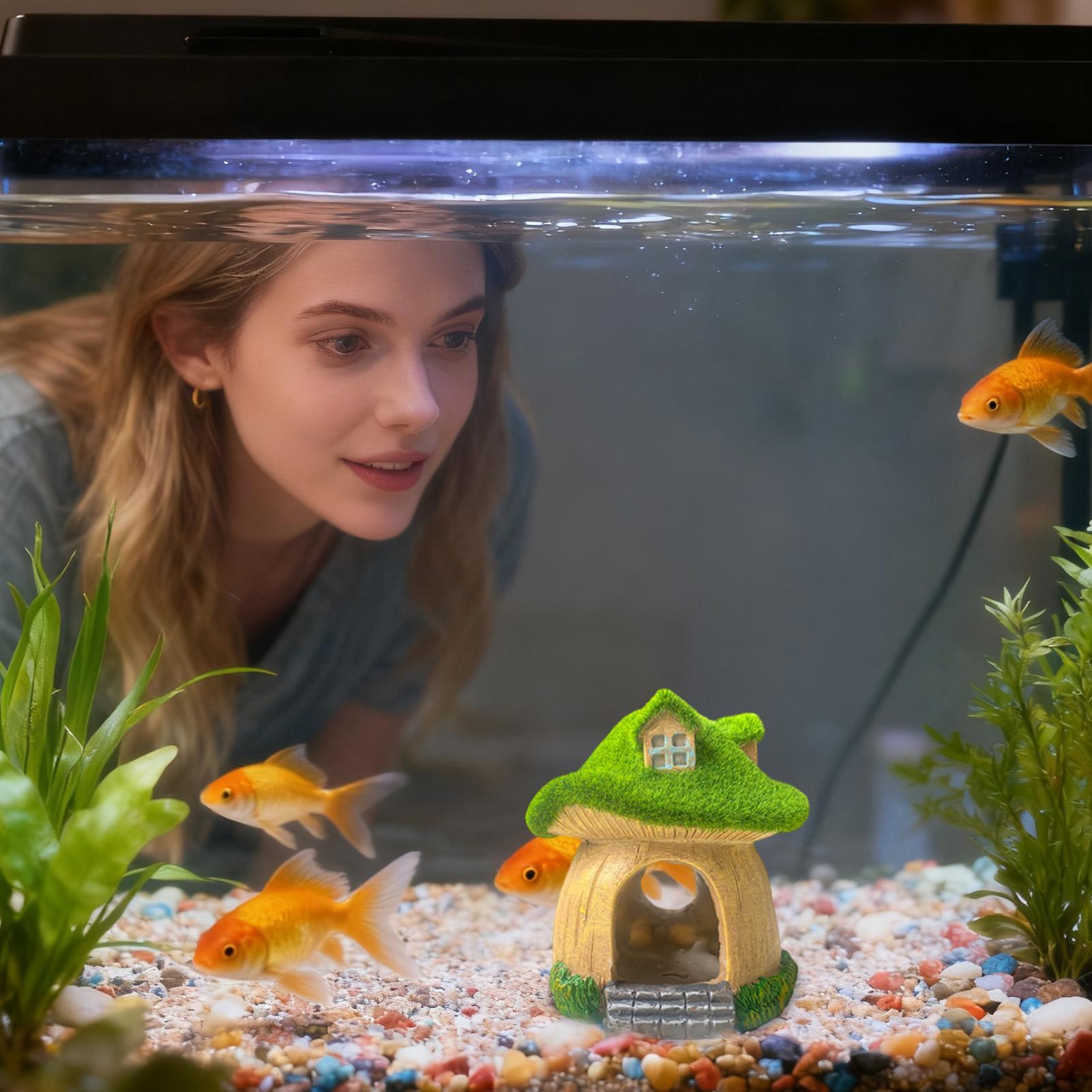 Aquarium Statue Unter Wasser S – Aquarium Fish Restaurant Bewertung und Preis