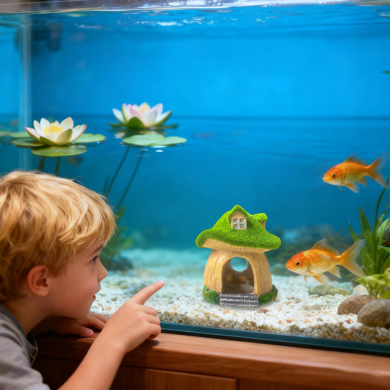 Aquarium Statue Unter Wasser S – Aquarium Fish Restaurant Bewertung und Preis