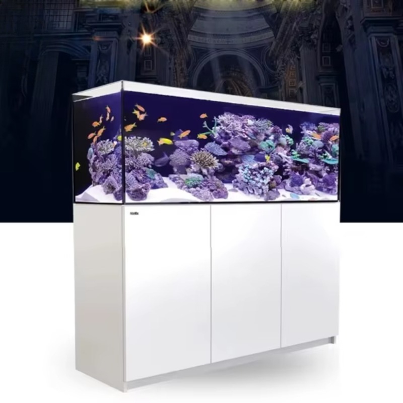 Modernes Luxus-Glas-Kühlakvari – Aquarium Fish Restaurant Bewertung und Preis