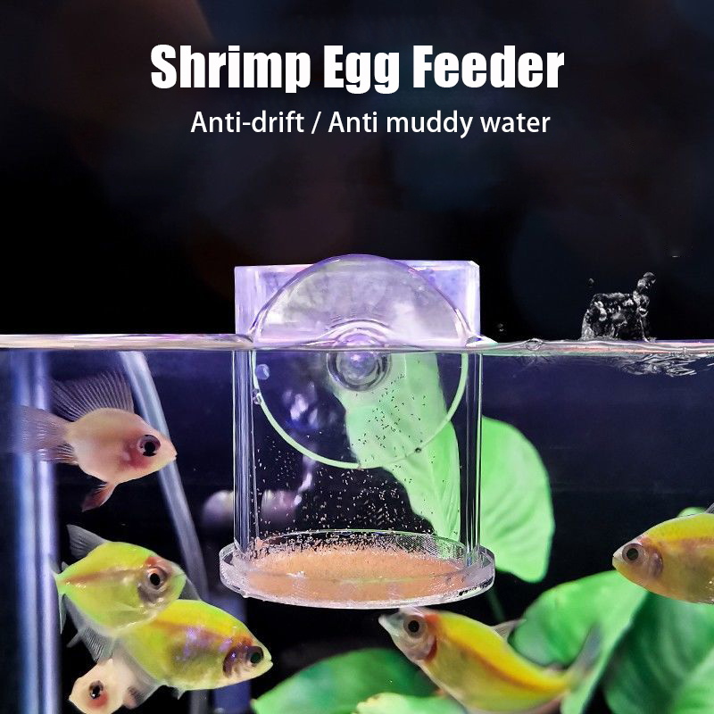 Transparente Acryl Aquarium Fi – Aquarium Fish Holiday Food Bewertung und Preis