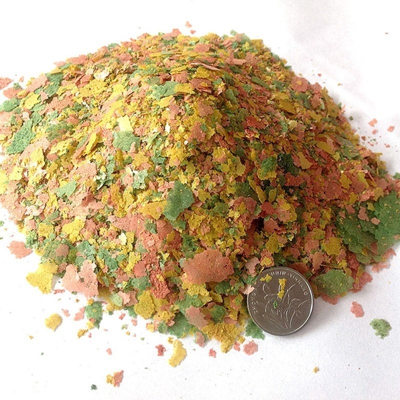 2026 Frische Tropische Fischfl – Fish Food Flake Bewertung und Preis