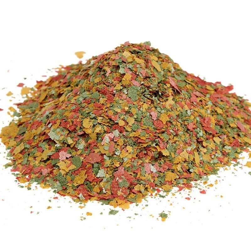 2026 Frische Tropische Fischfl – Fish Food Flake Bewertung und Preis
